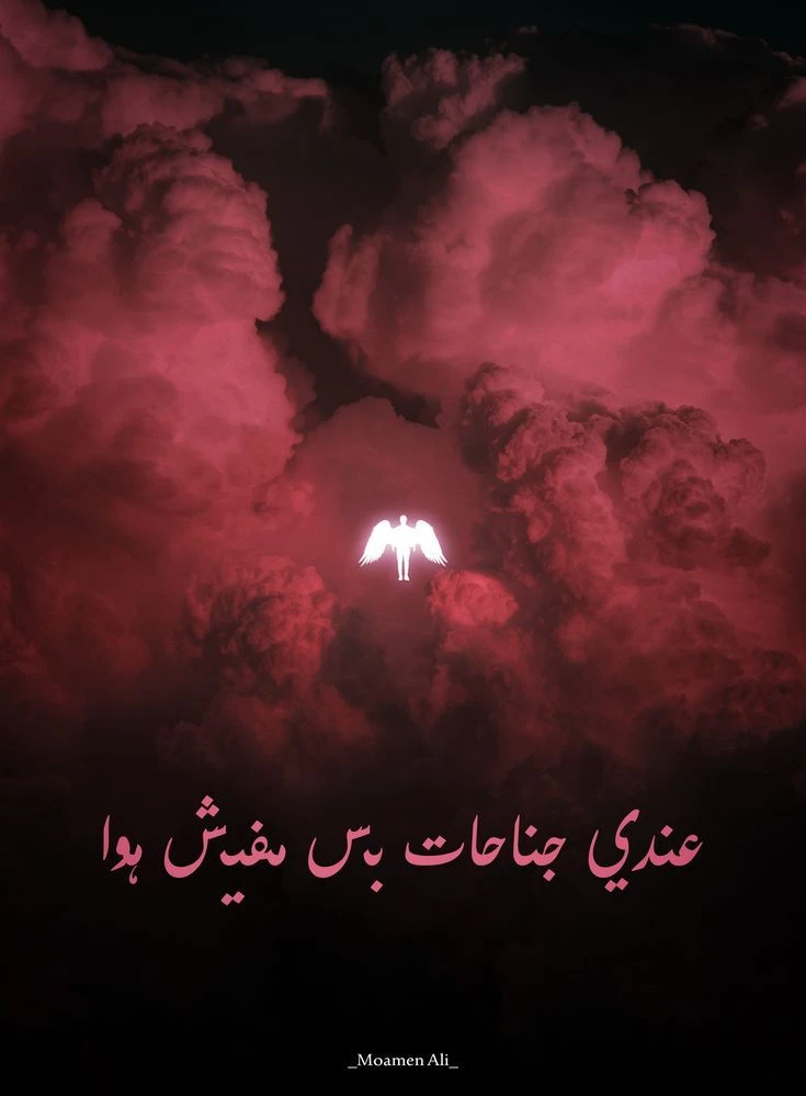 Cairokee - 1 - 2