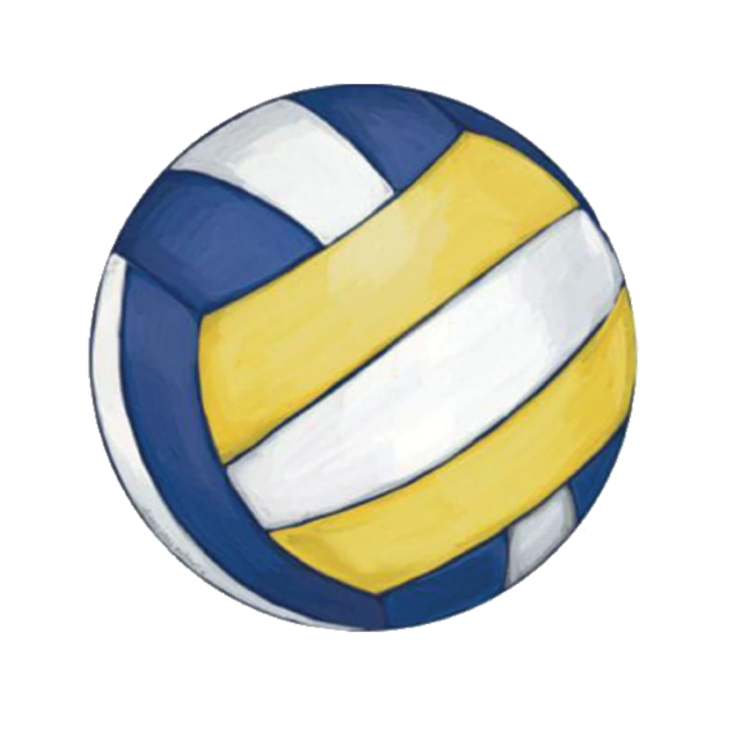 vollyball